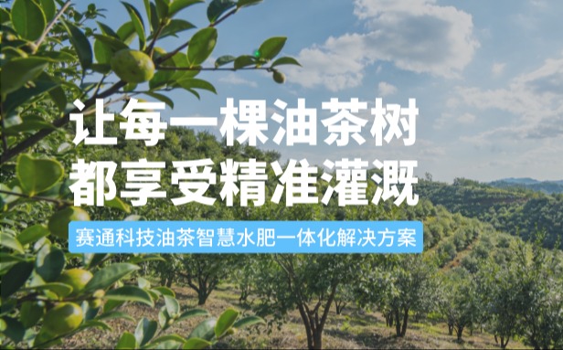 赛通科技油茶suncitygroup太阳新城(中国)水肥一体化解决方案：让每一棵油茶树都享受精准灌溉